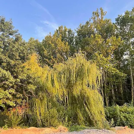 Apartament бонита плаж градина *