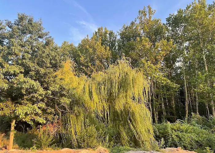 Apartmán бонита плаж градина *